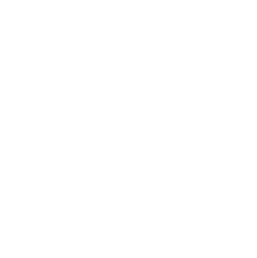 6つのポイント